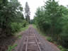 Lonesome Tracks