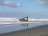 Shipwrecked On The Oregon Coast